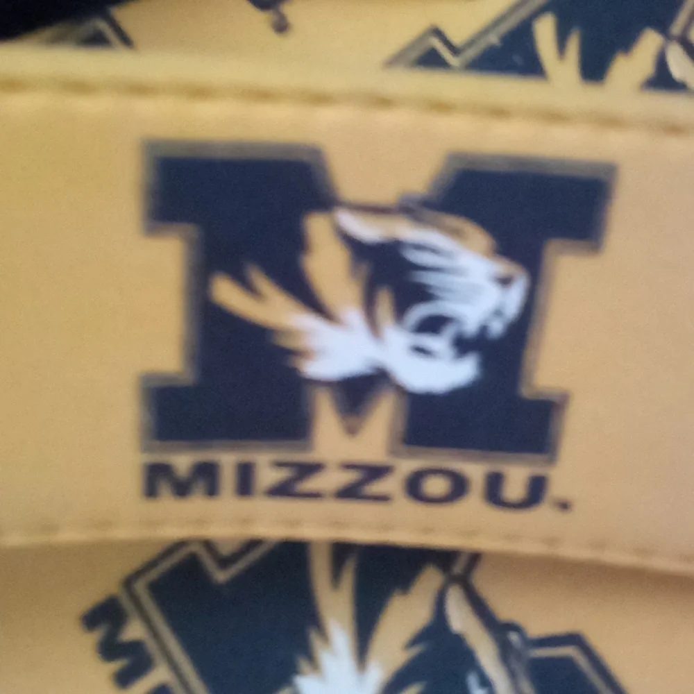 Campus Footnote new mizzou